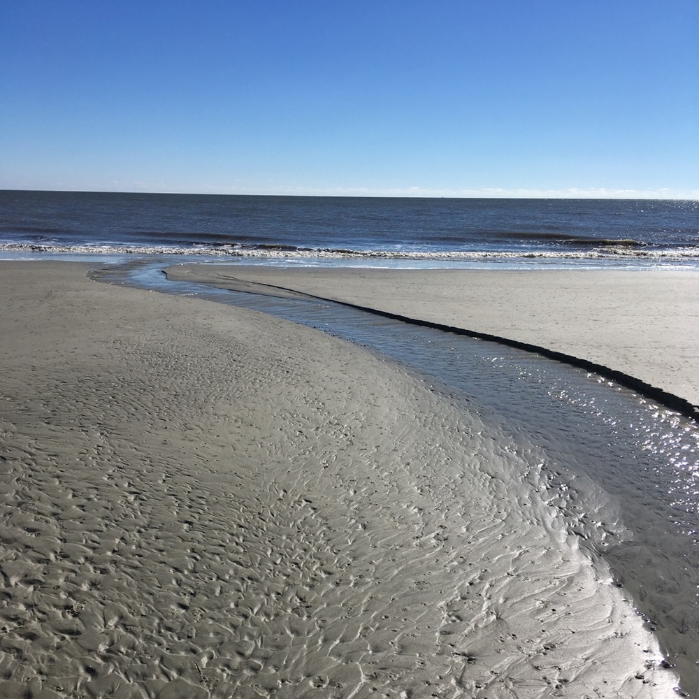 Meet your Posher, Katherine